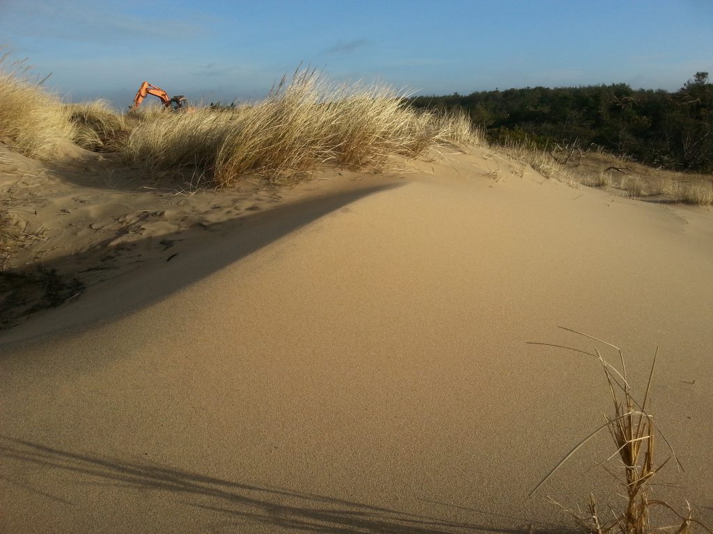 Gullbranna sanddyn